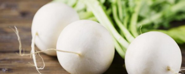 白萝卜凉菜的家常做法