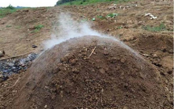 坟墓上开花什么预兆