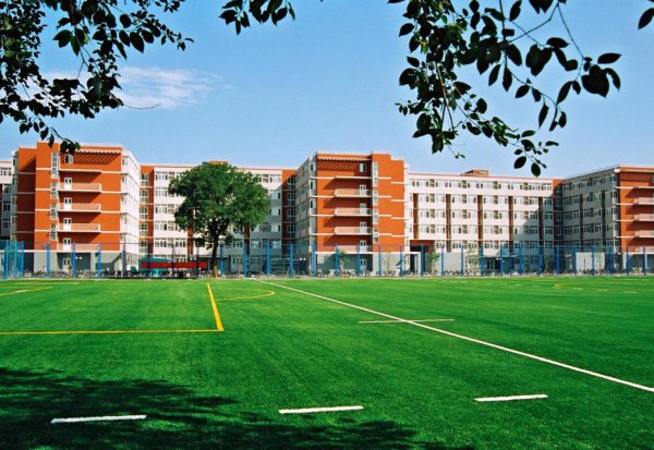 中国农业大学是985大学吗