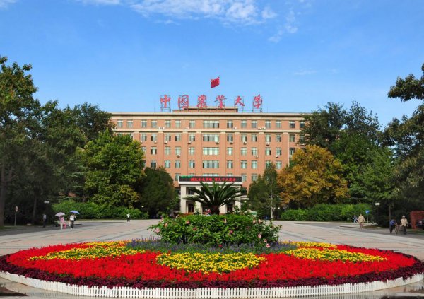 中国农业大学是985大学吗