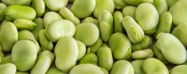 蚕豆减肥时可以吃吗