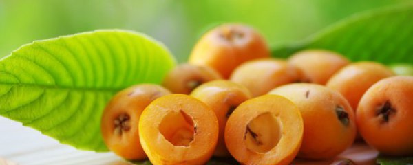 碳水化合物指的是什么