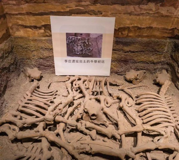 商丘是哪个省的城市