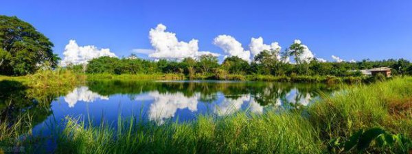 纯净水是蒸馏水吗