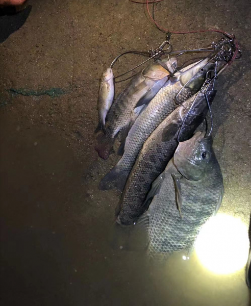 路亚晚上可以玩吗