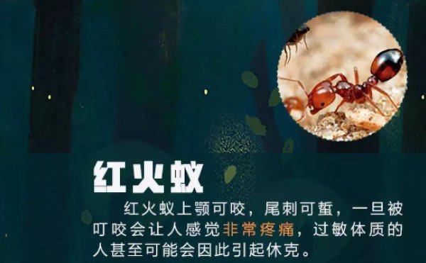 路亚晚上可以玩吗