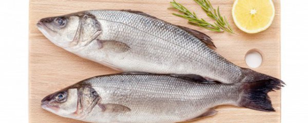 鲈鱼暂时不吃怎么保存才好