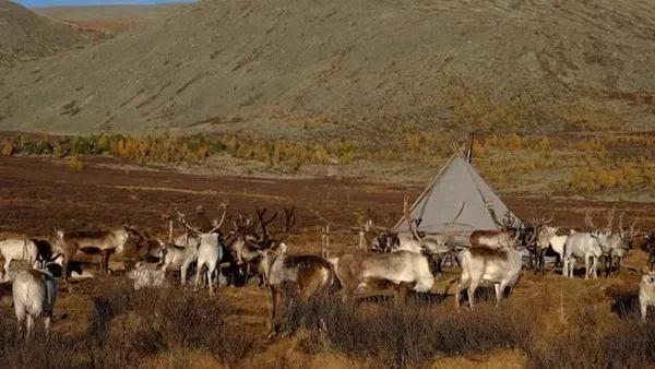 蒙古国人均gdp多少美元