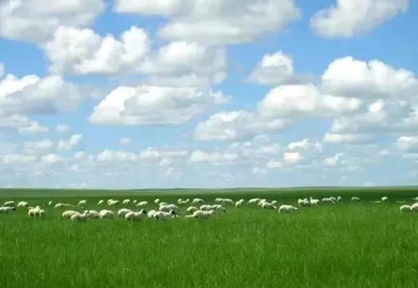 蒙古国人均gdp多少美元