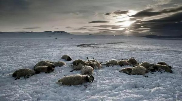 蒙古国人均gdp多少美元