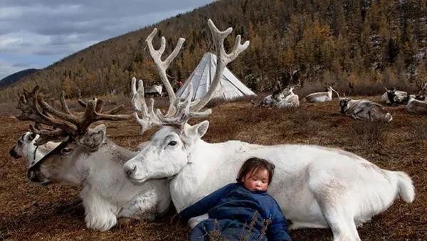 蒙古国人均gdp多少美元