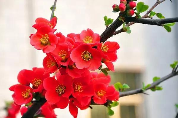 超厉害改运的几个方法