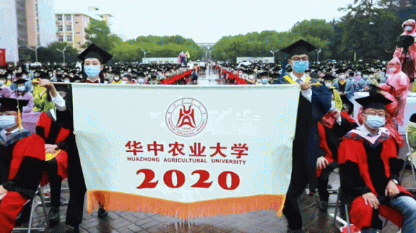 华中农业大学是985还是211