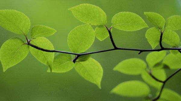 水瓶座专一到可怕吗