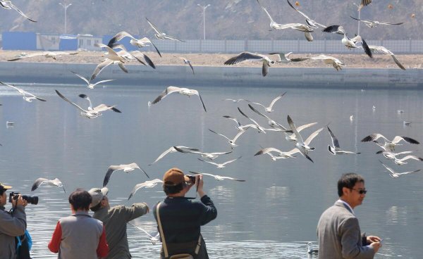 大连好玩的地方排行榜