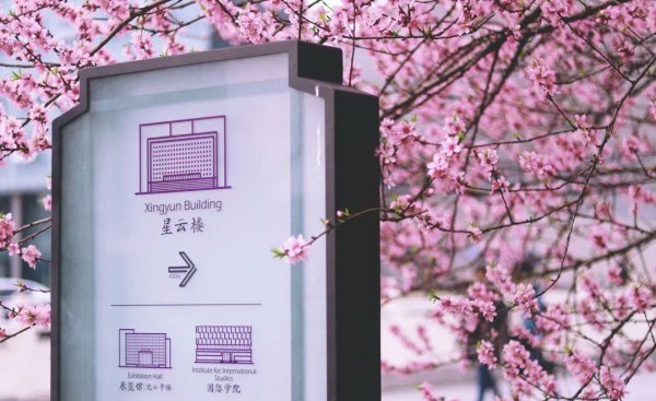 考公务员的十大专业