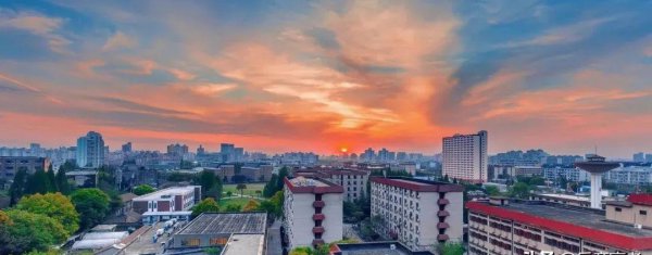 考公务员的十大专业