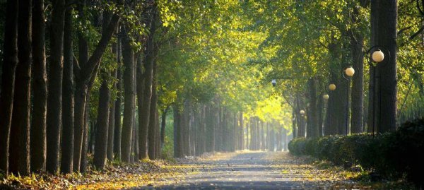 考公务员的十大专业