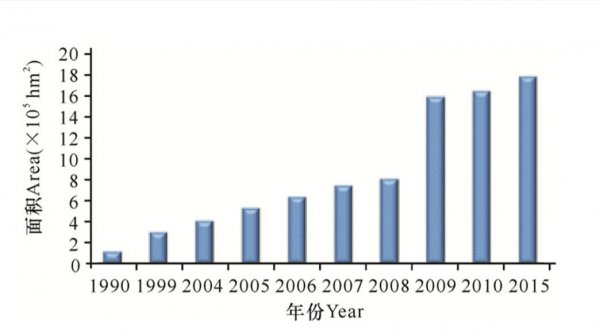 桉树对人体有哪些危害