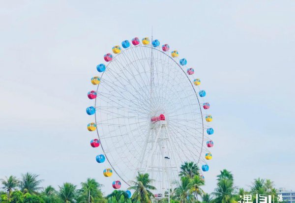 湛江市有多少人口和面积