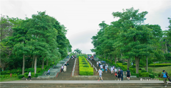 湛江市有多少人口和面积