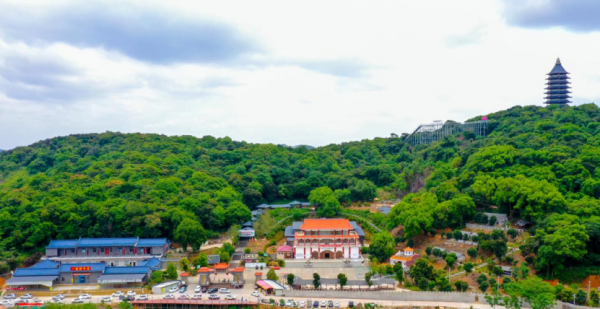 湛江市有多少人口和面积