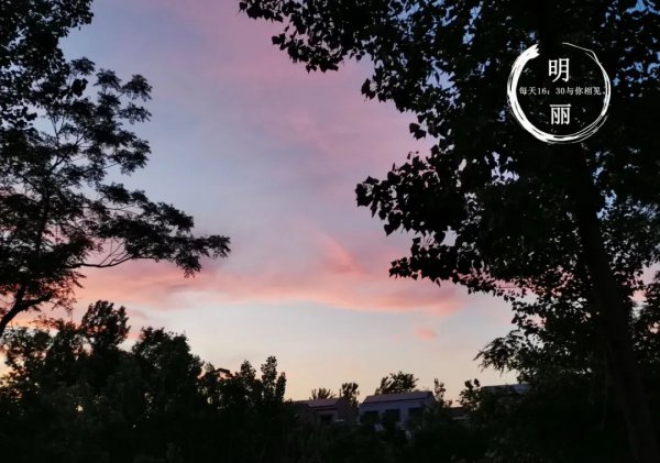 离婚后复婚的几率有多大