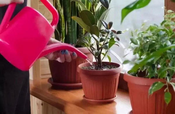 土壤板结怎么快速弄松