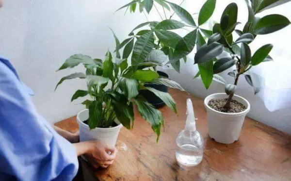 土壤板结怎么快速弄松