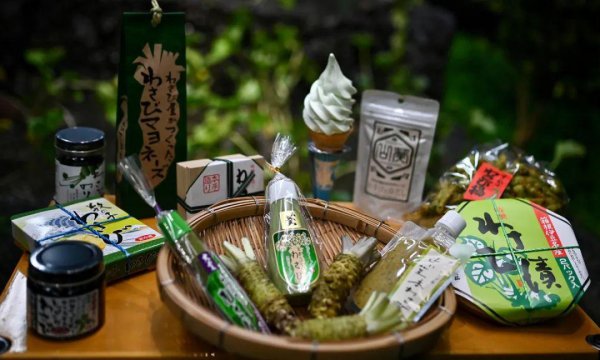 山葵和芥末的口感区别是什么