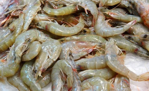 新鲜的虾怎么保存最新鲜