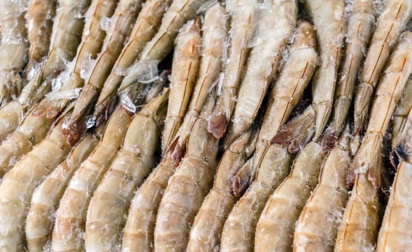 新鲜的虾怎么保存最新鲜