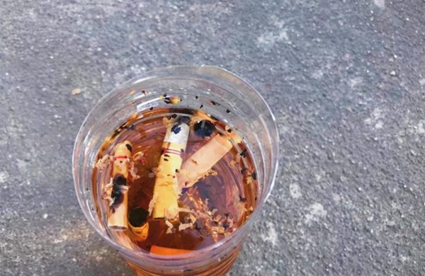 蔬菜小黑虫怎么消灭小窍门