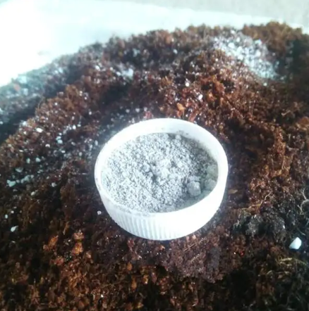 多菌灵的使用方法及用量