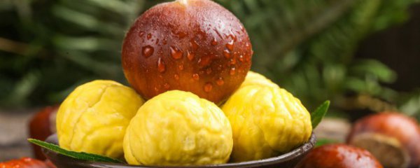 板栗和酸奶可以一起吃吗