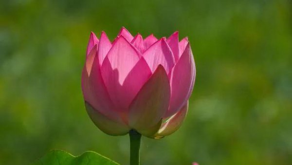 爱人者人恒爱之什么意思