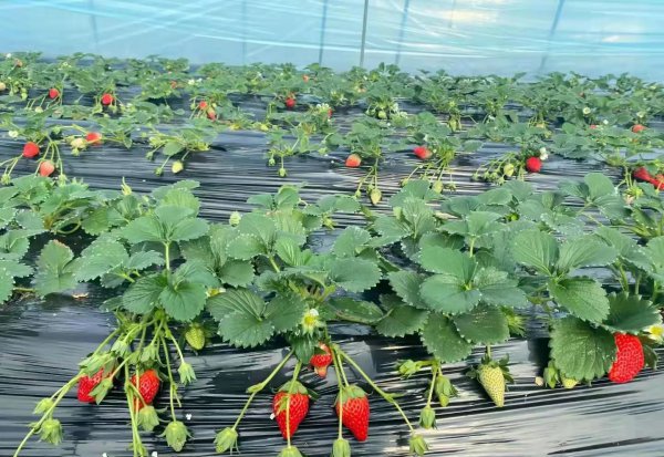 爱人者人恒爱之什么意思