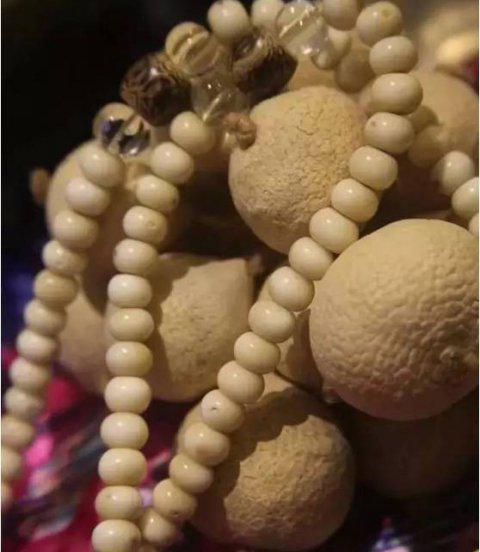 白菩提和白玉菩提是一样的吗