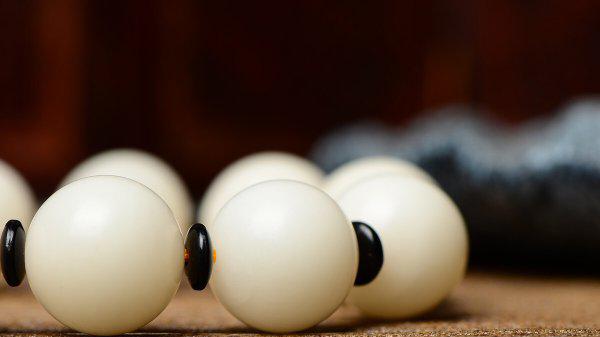 白菩提和白玉菩提是一样的吗