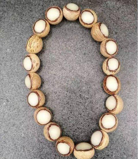 白菩提和白玉菩提是一样的吗