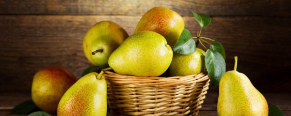 饭后吃梨有什么好处