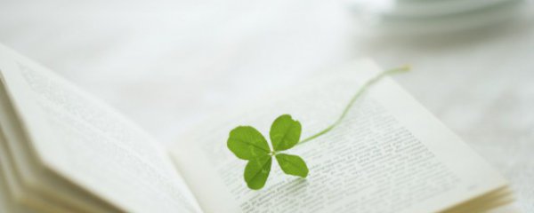 12月文案正能量