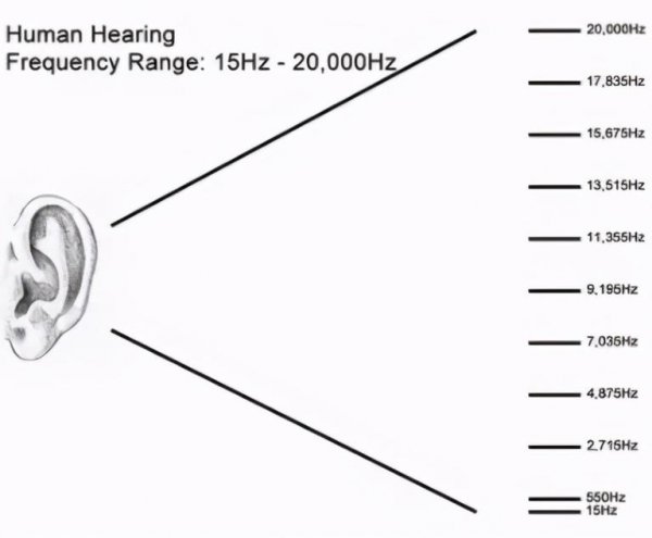 钢琴黑白键一共有多少个