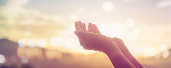 有关感恩的话语