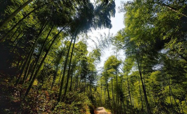 大别山在哪个省哪个县