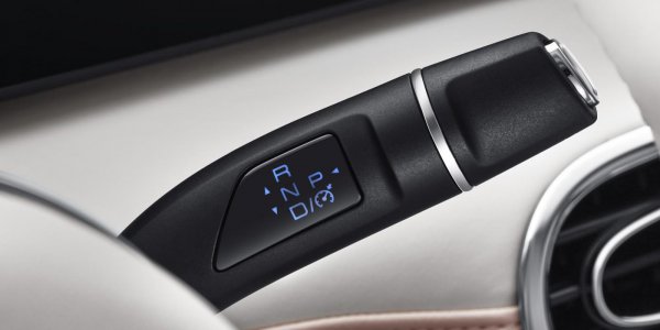 欧拉朋克猫什么时候上市