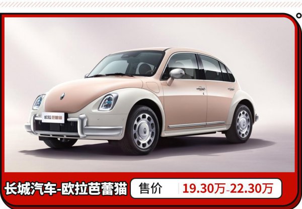 欧拉朋克猫什么时候上市