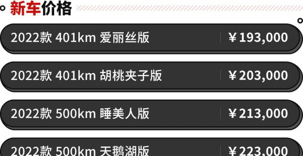 欧拉朋克猫什么时候上市