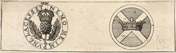 苏格兰国花是什么花