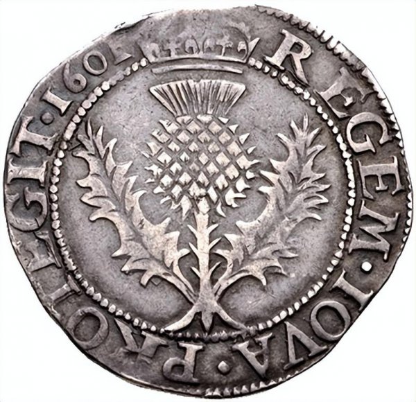 苏格兰国花是什么花